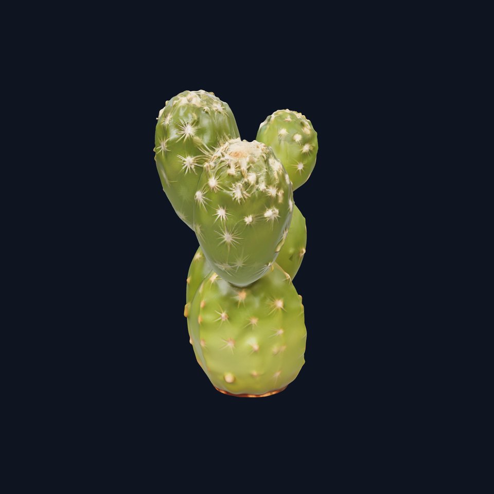 Realistic Cactus Model Pack with PBR Textures